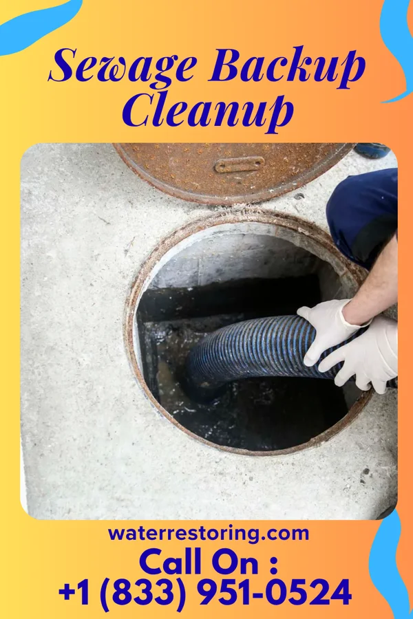Sewage Backup Cleanup in Sulphur Springs, IN