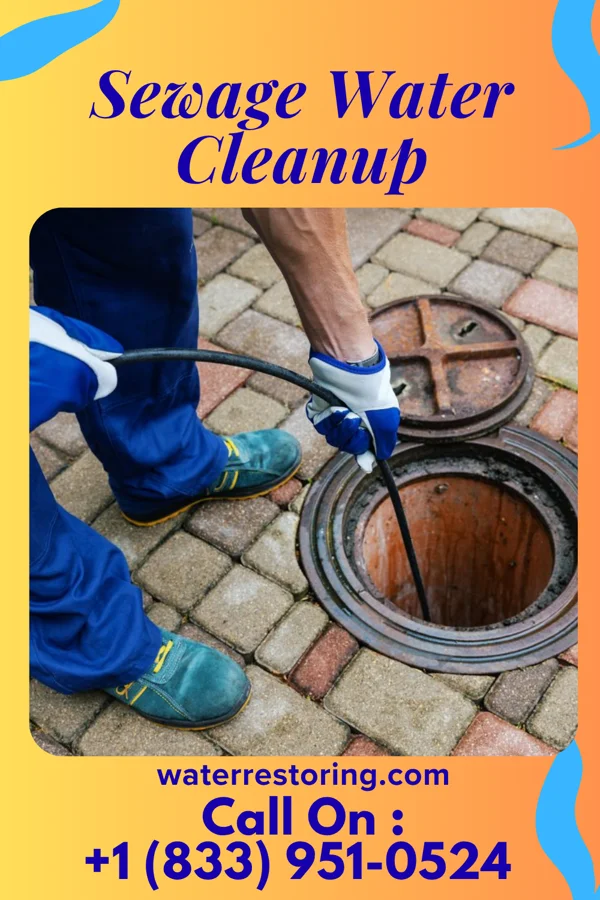 Sewage Water Cleanup in Sulphur Springs, IN
